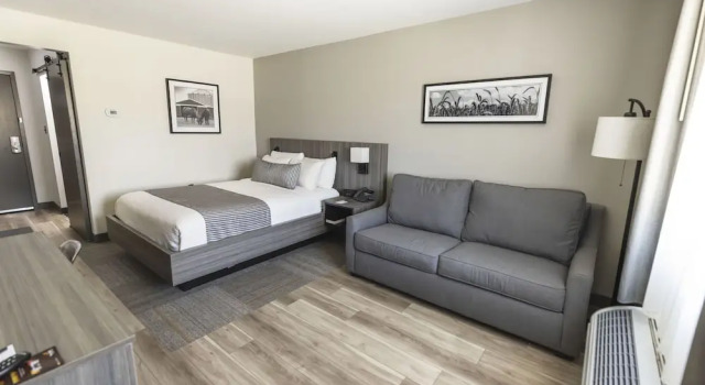 Одноместный номер Standard The Farmstead Hotel