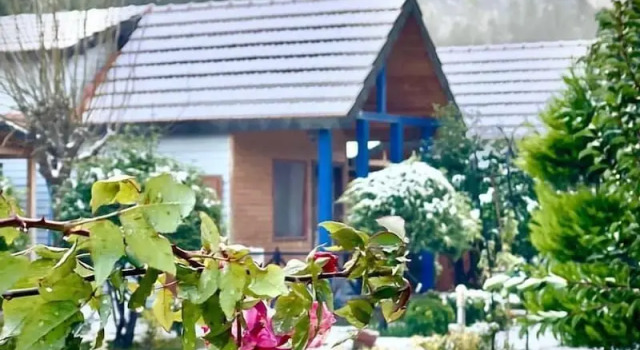 Коттедж Classic Kalipso Park Butik Otel