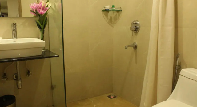 Двухместный номер Standard Hotel Shree Venkateshwara
