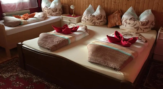 Номер Standard Gasthaus Luggwirt