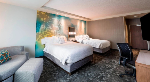 Четырёхместный номер Standard Courtyard by Marriott Tampa Northwest/Veterans Expressway