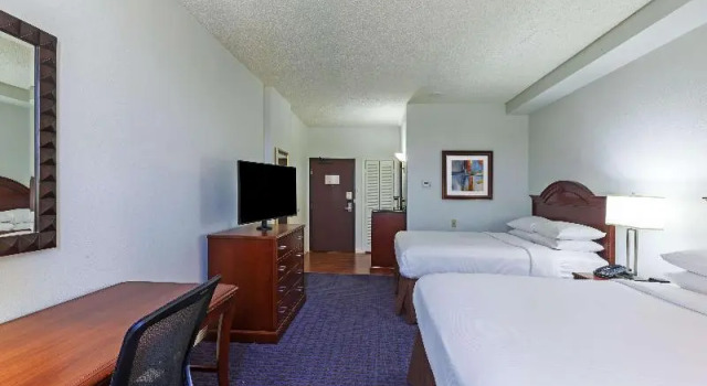 Luksusowy sześcioosobowy pokój Hilton Waco