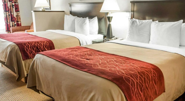 Двухместный люкс Quality Inn & Suites Farmington