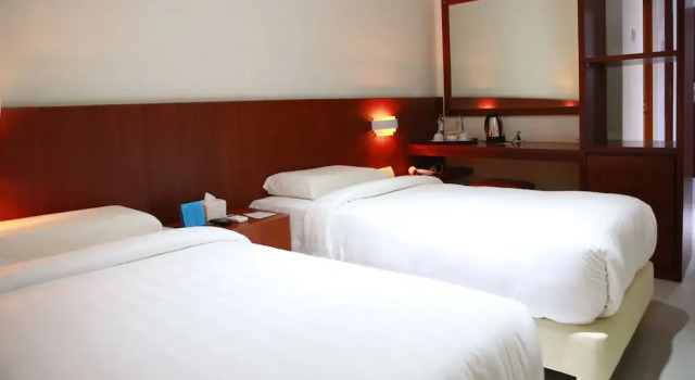 Deluxe værelse Aviari Hotel