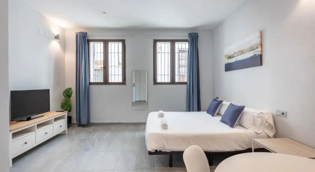 Студия Apartamentos Realejo Granada Centro 3000