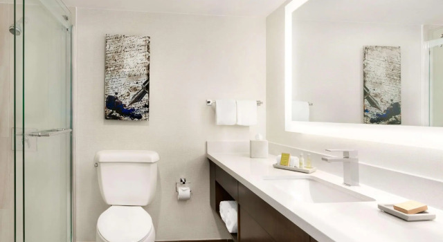 Двухместный номер Premium DoubleTree by Hilton McLean Tysons