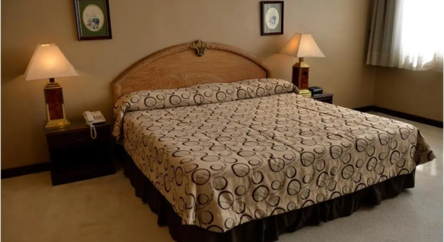 Двухместный номер Deluxe Nobile Suites Excelsior Asuncion