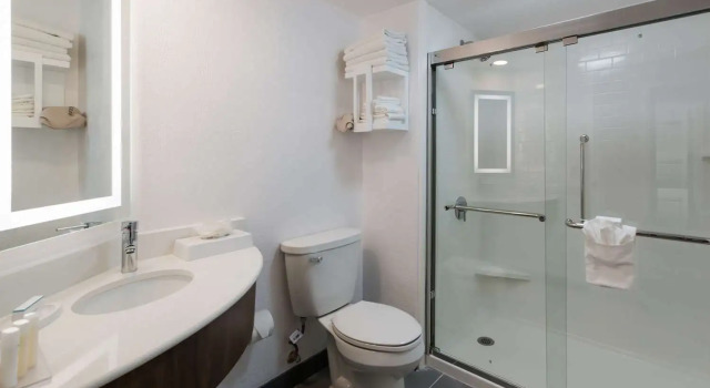 Номер Deluxe Hampton Inn & Suites Chicago-Hoffman Estates