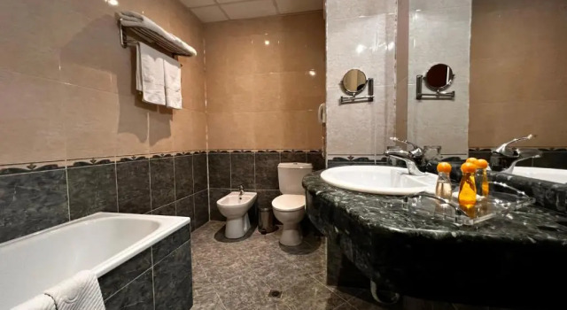 Двухместный номер Standard Merian Palace Hotel