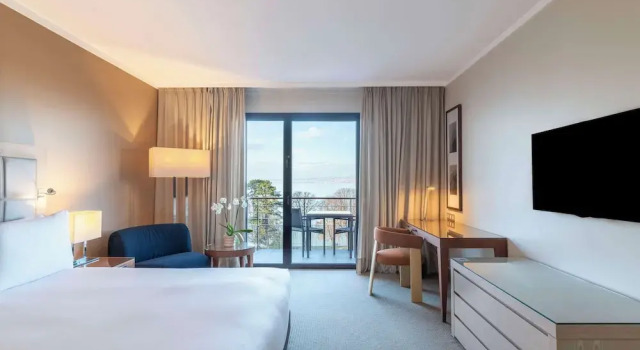 Двухместный люкс Deluxe с видом на озеро Hotel Évian-les-Bains by Leonardo Hotels
