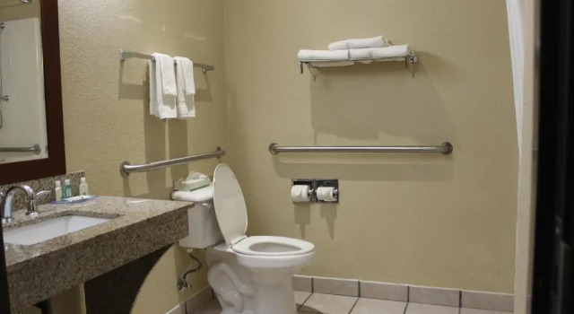 Номер Standard Quality Inn & Suites Terrell