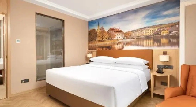 Люкс Deluxe Vienna Hotel
