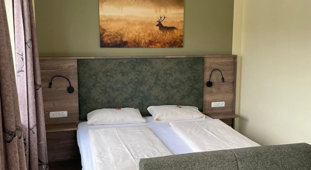 Номер Standard Restaurant Grüner Baum
