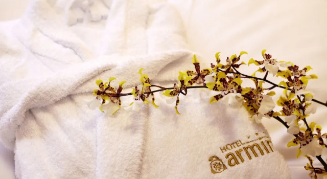 Полулюкс Comfort Hotel Armin