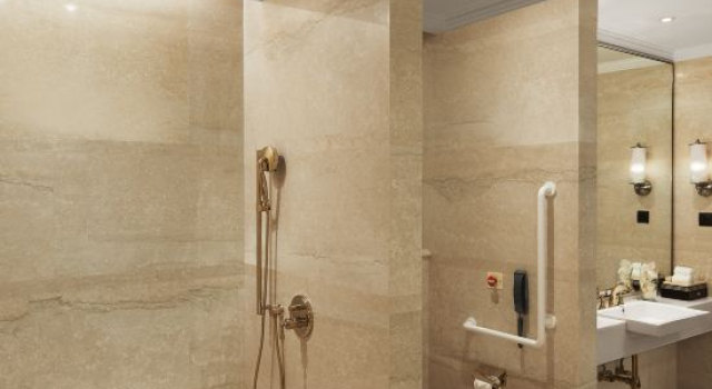Номер Deluxe The Ritz-Carlton, Pune