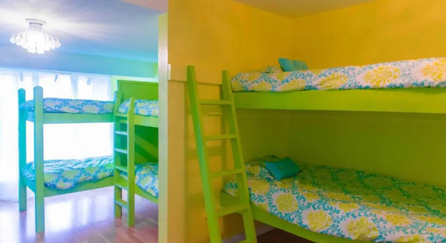 Кровать в общем номере The Big Island Hostel
