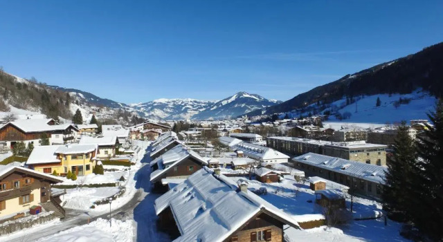 Апартаменты Пентхаус с балконом и с видом на горы All Seasons Lodge by All in One Apartments