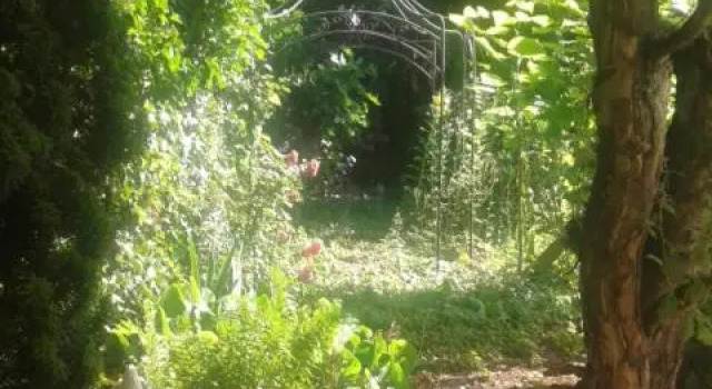 Bismarckstrasse 8, Забронировать Отель Бад-Бергцаберн Wine Route