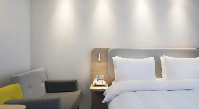 Двухместный номер Standard Цокольный этаж Holiday Inn Express Baden-Baden by IHG