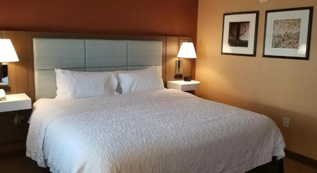 Двухместный номер для некурящих Hampton Inn & Suites Boston Crosstown Center