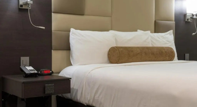 Номер Standard Hotel Xilo Glendale