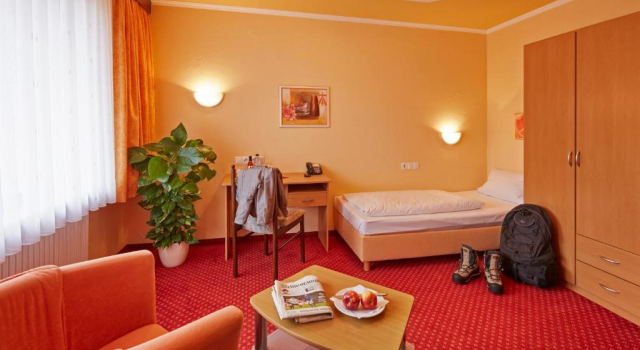 Номер Standard Panoramahotel Berghof