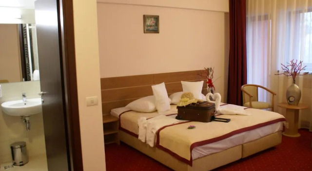 Номер Standard Hotel Carpați