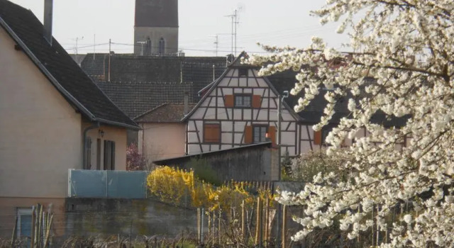 Chambres dhôtes Schneider Leiber Marie Louise, Забронировать Отель Эгисхайм Alsace Wine Route