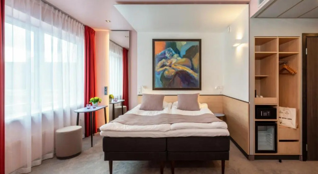 Двухместный номер Standard Art Hotel Pallas by Tartuhotels