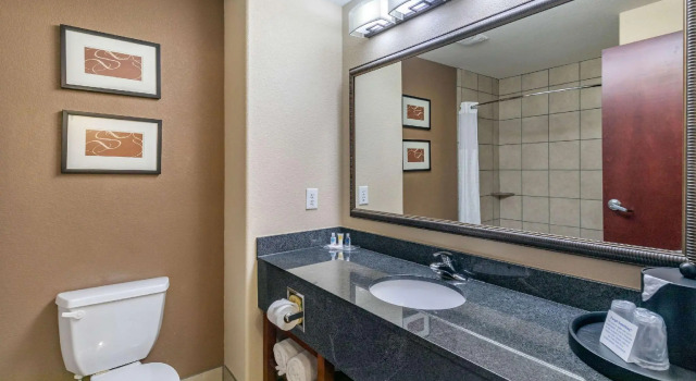 Четырёхместный люкс Comfort Suites Ennis