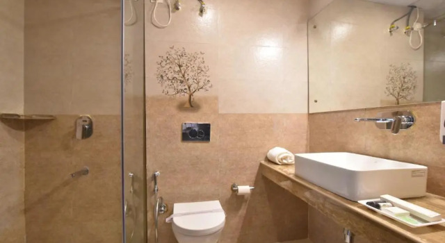 Двухместный номер Standard Hotel Asian International