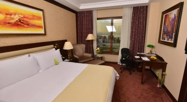 Двухместный номер Deluxe с видом на горы Wellborn Luxury Hotel