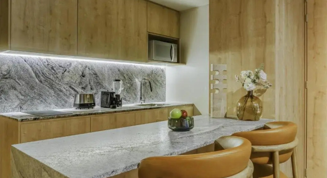 Студия Deluxe NH Guadalajara Studios