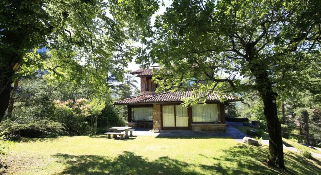Полулюкс The Club Guest House