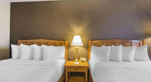Номер Standard с балконом DoubleTree by Hilton Calgary North