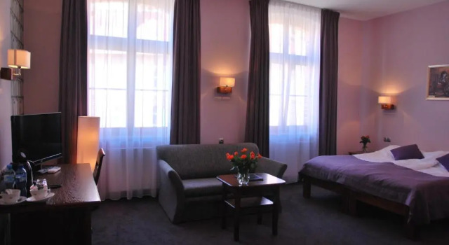 Номер Deluxe Hotel Młyn Aqua Spa Biblioteka