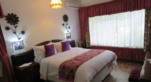 Suite Deluxe Parrot Lodge