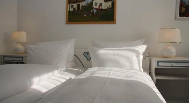 Двухместный номер Standard Hotel Christiansen