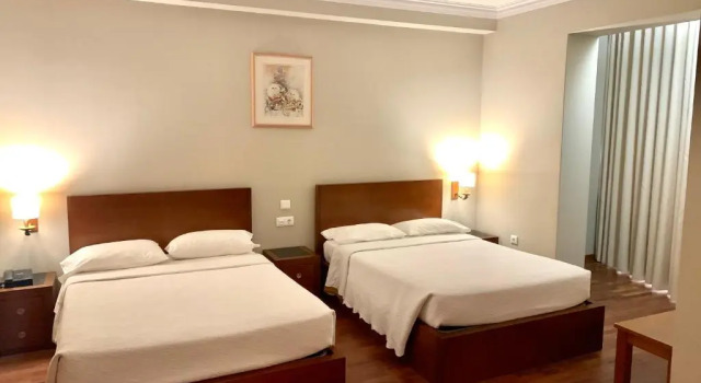 Superior Dvoulůžkový s manželskou postelí pokoj Puma