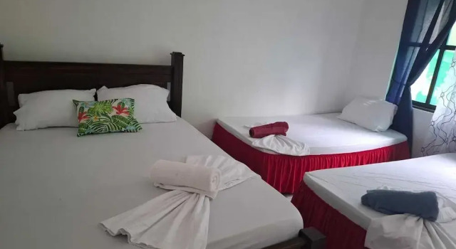 Четырёхместный номер Economy c 1 комнатой Cabinas Tortuguero Natural