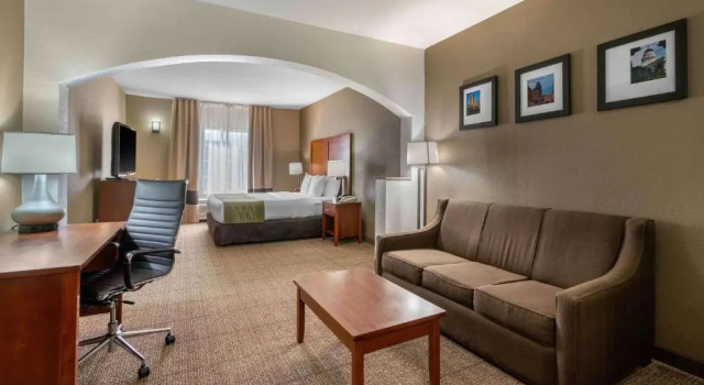 Люкс Comfort Inn & Suites Sacramento - University Area