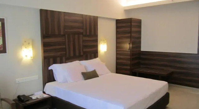 Одноместный номер Deluxe Hotel Park Plaza
