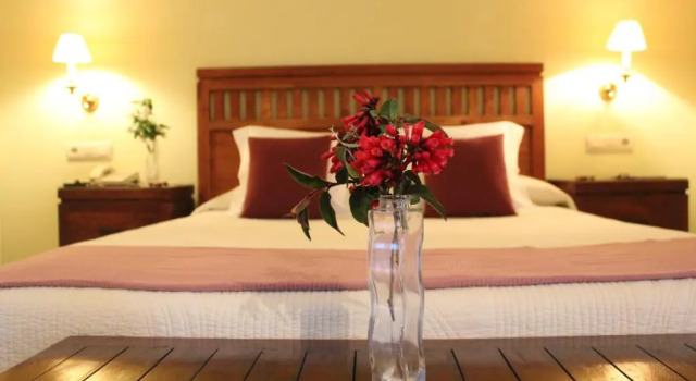 Номер Standard Quinta de Villanueva