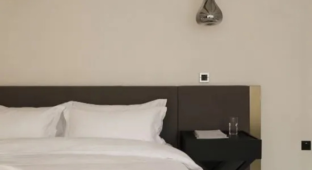 Люкс HangZhou SUYAN DESIGNER HOTEL