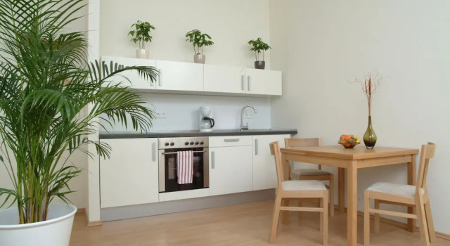 Люкс Comfort Aparthotel am Zwinger