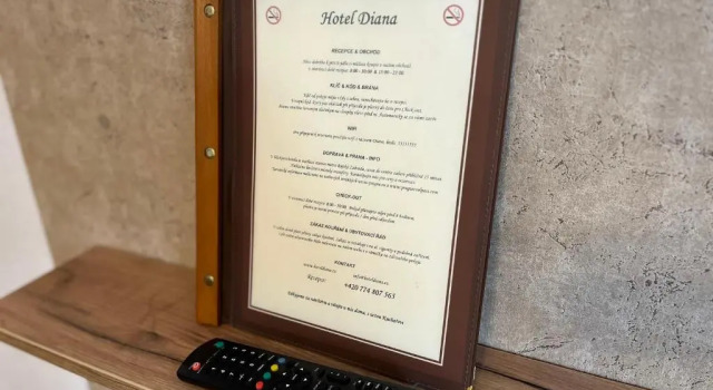 Номер Standard HOTEL DIANA apartments