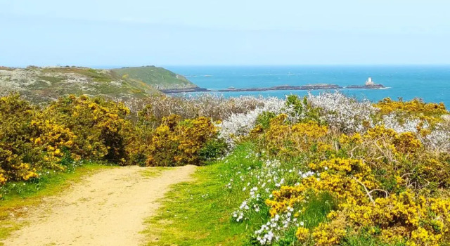 Коттедж с 4 комнатами La clé des falaises Meublé de tourisme 3 étoiles