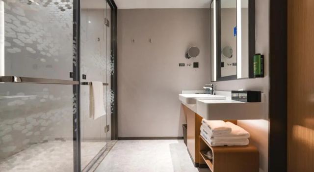 Двухместный номер Superior Hampton by Hilton Shenzhen Yuanshan
