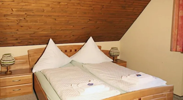 Двухместный номер Standard Hotel Steuer