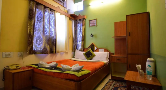 Двухместный номер Deluxe Hotel Bani Park Palace